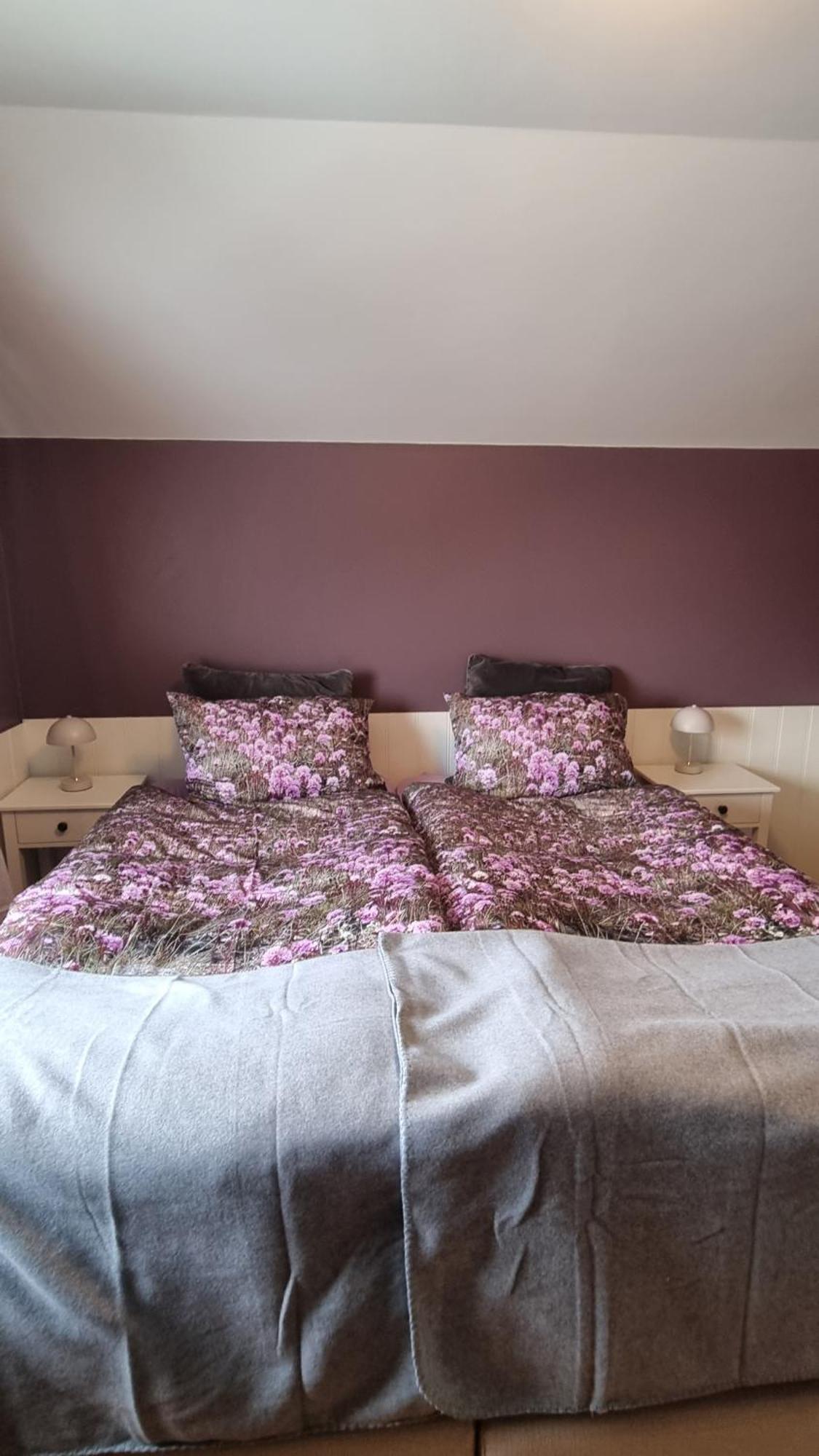 Fornilaekur Guesthouse Blonduos Eksteriør billede