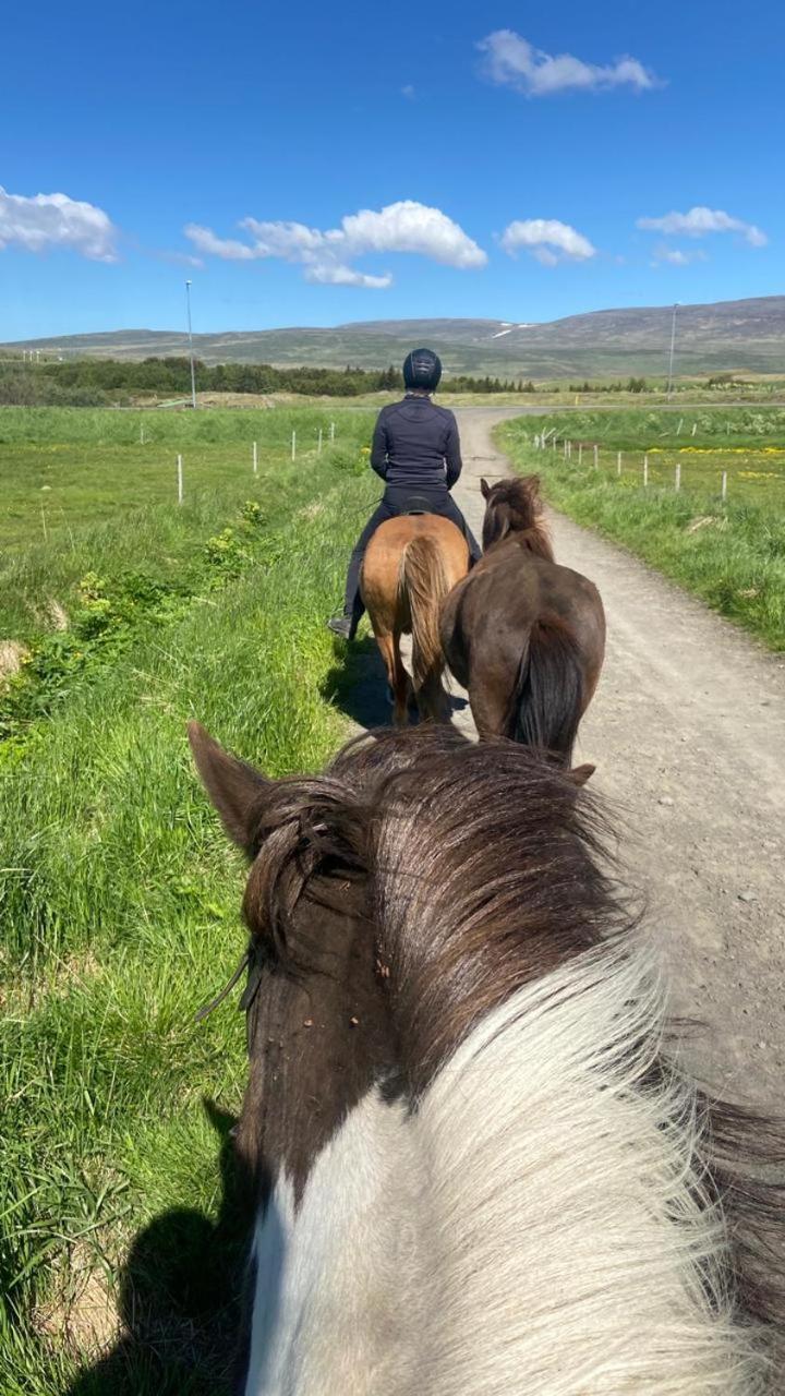 Fornilaekur Guesthouse Blonduos Eksteriør billede