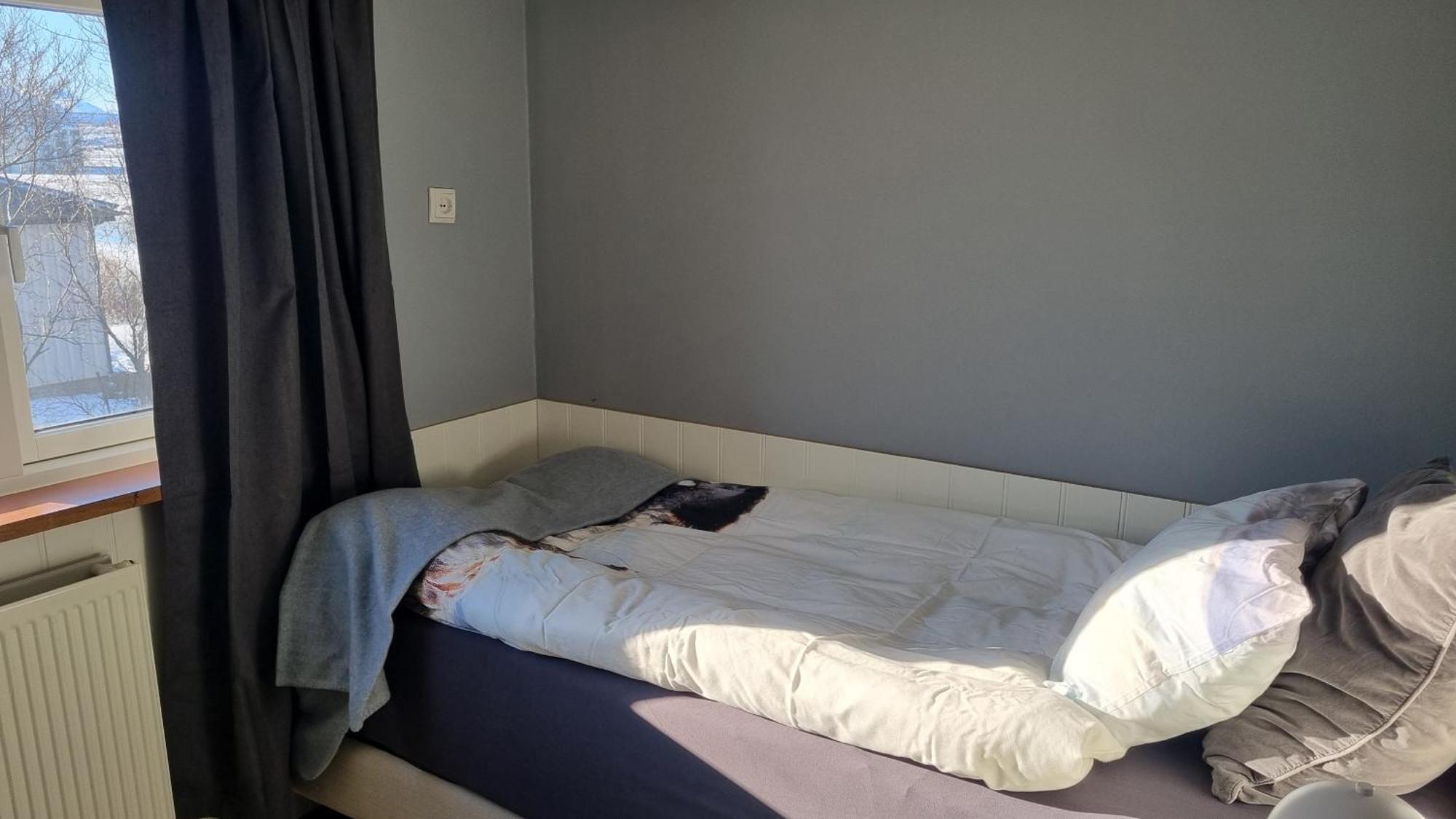 Fornilaekur Guesthouse Blonduos Eksteriør billede